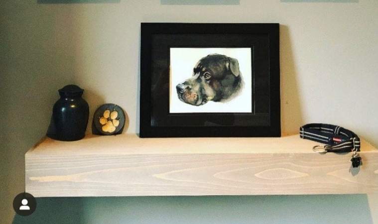 staffordshire bullterier brindle2.jpg
